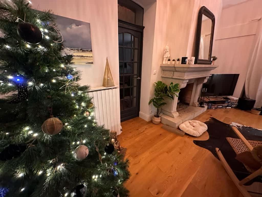 Clos Hily - Maison D'Exception A Dinard - 10 Pers エクステリア 写真